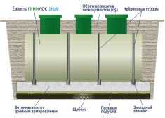 Гринлос Пром 2000